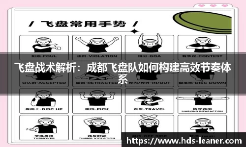 飞盘战术解析：成都飞盘队如何构建高效节奏体系
